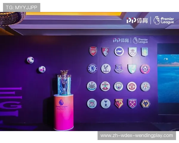 苏宁持有的英超球队介绍